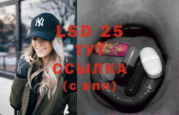 шишки Бородино