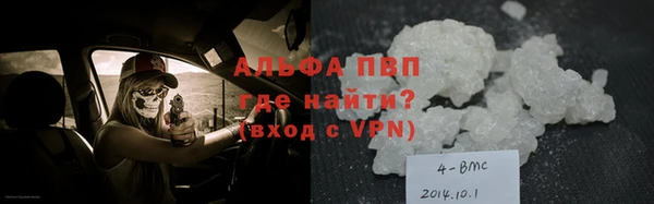 шишки Бородино