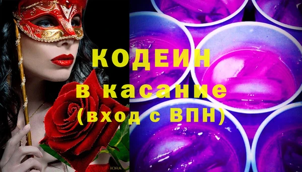шишки Бородино