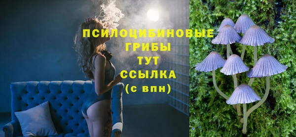 шишки Бородино