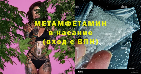 шишки Бородино