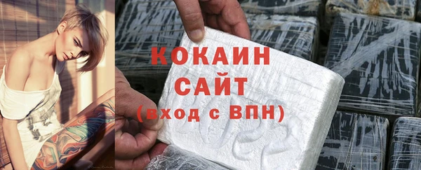 шишки Бородино