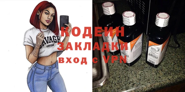 шишки Бородино