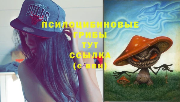 первитин Бугульма