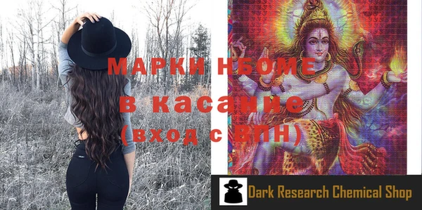 шишки Бородино