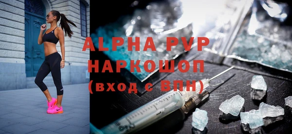 шишки Бородино