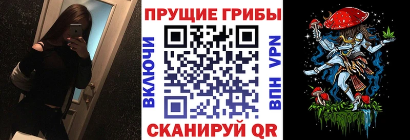 Псилоцибиновые грибы мухоморы  где купить наркоту  Раменское 